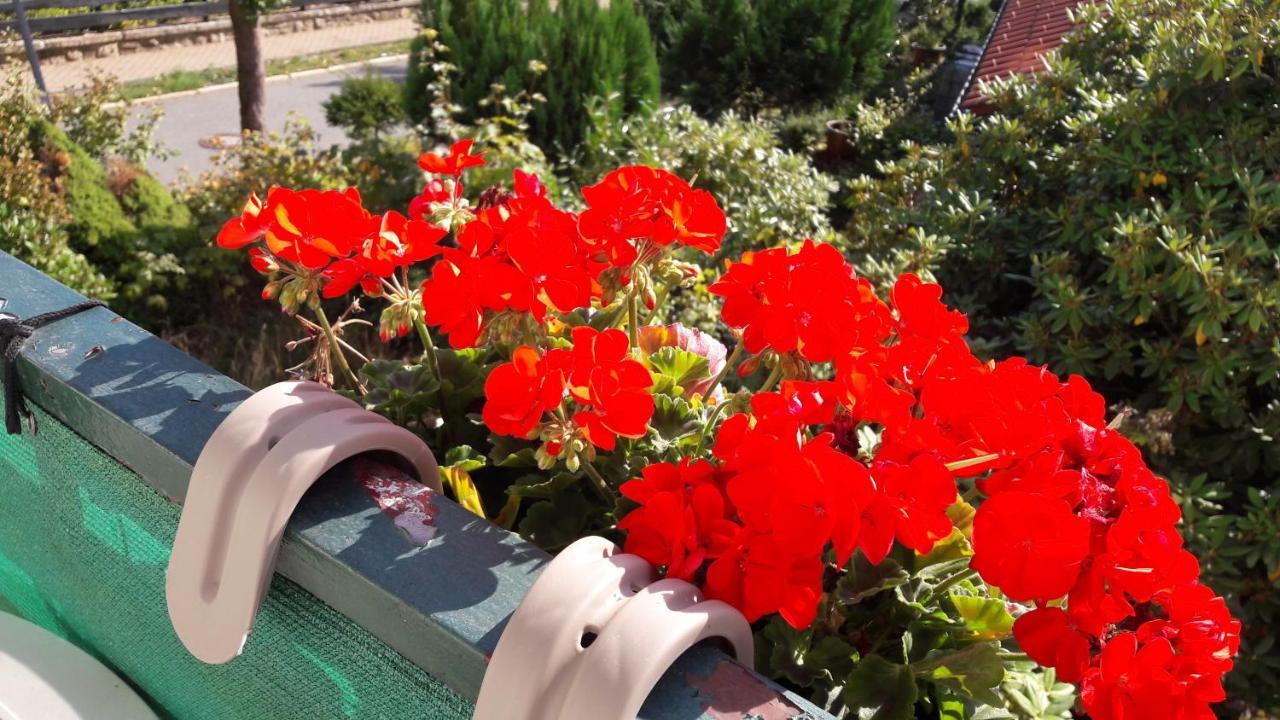 בראונלאגה Hotel Garni Am Hochwald מראה חיצוני תמונה